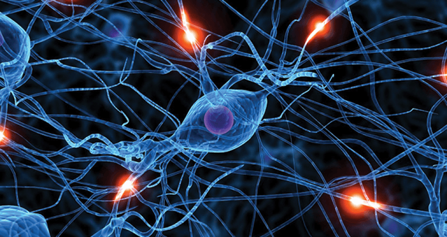 Curso “Neurobiología Celular y Molecular: Patologías Asociadas”