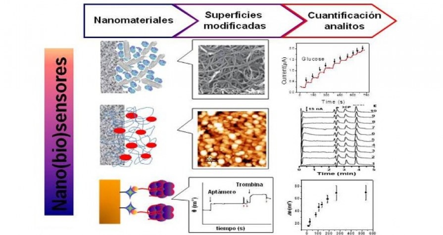 Curso “Nanobiotecnología y Biosensores: nuevas estrategias para la detección de eventos biocatalíticos y de afinidad”