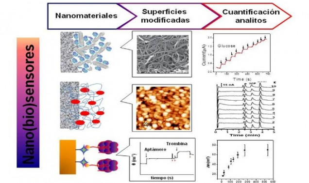 Curso “Nanobiotecnología y Biosensores: nuevas estrategias para la detección de eventos biocatalíticos y de afinidad”