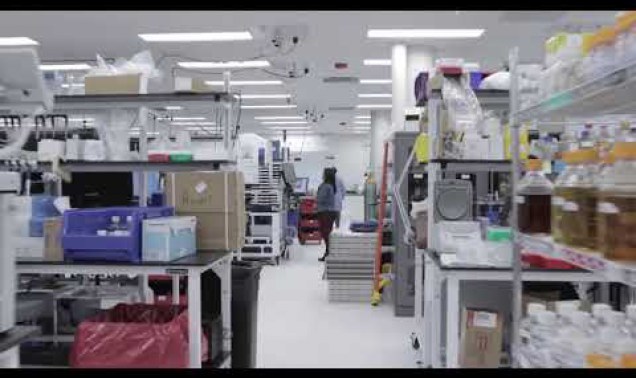 Embedded thumbnail for Relevamiento de demandas en Biotecnología.# Prosecretaria de Vinculación Tecnológica y #CEQUIMAP