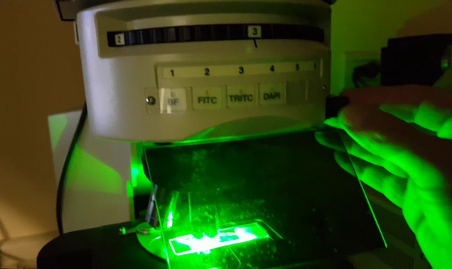Embedded thumbnail for Manejo de la cámara de fluorescencia del edificio de Ciencias I FCQ - UNC