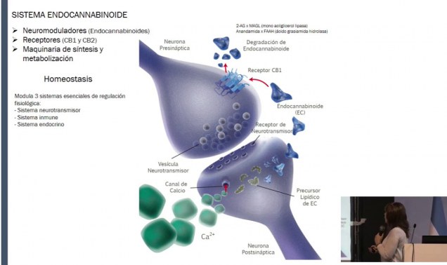 Embedded thumbnail for 1° Congreso Nacional de Ciencia Reguladora